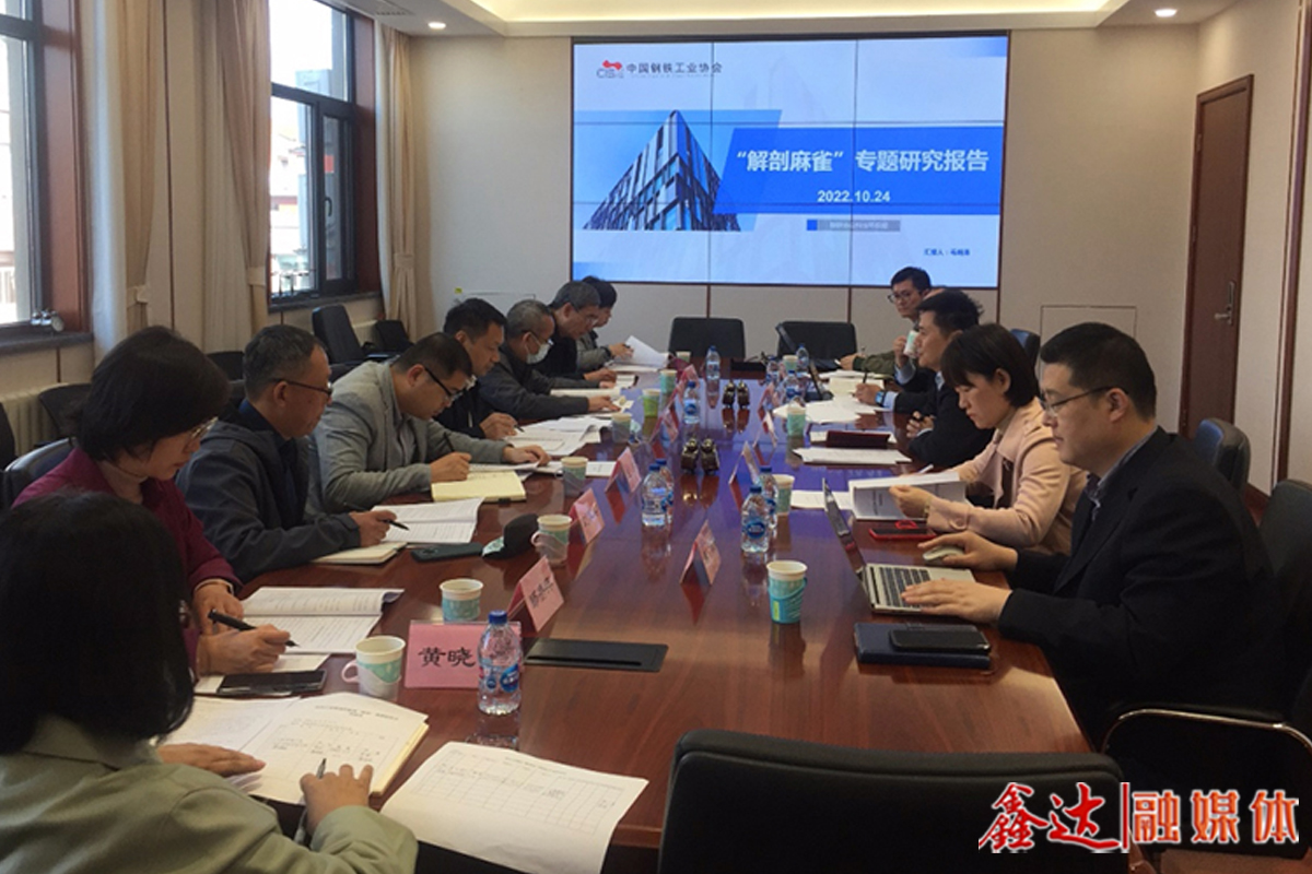 The Raw Materials Department of the Ministry of Industry and Information Technology organized the review meeting of the subject "Dissecting sparrows" for carbon emission reduction in the Iron and Steel industry